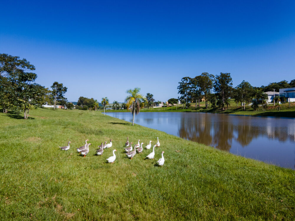 O lugar perfeito pra sua casa de campo